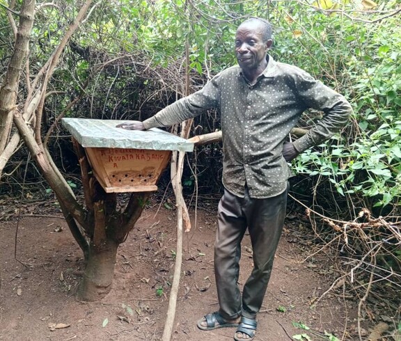 Ein Mann steht neben einem an einem Baum befestigten Bienenstock in einer ländlichen Umgebung.