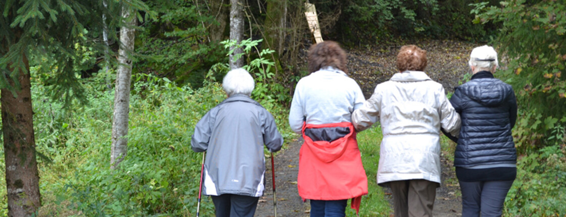 Vier Seniorinnen laufen auf einem Waldweg. Sie wurden von hinten fotografiert. 