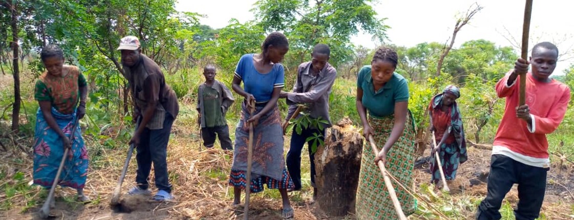 Mehrere Menschen bearbeiten gemeinsam mit Werkzeugen ein Feld in einer ländlichen Umgebung.
