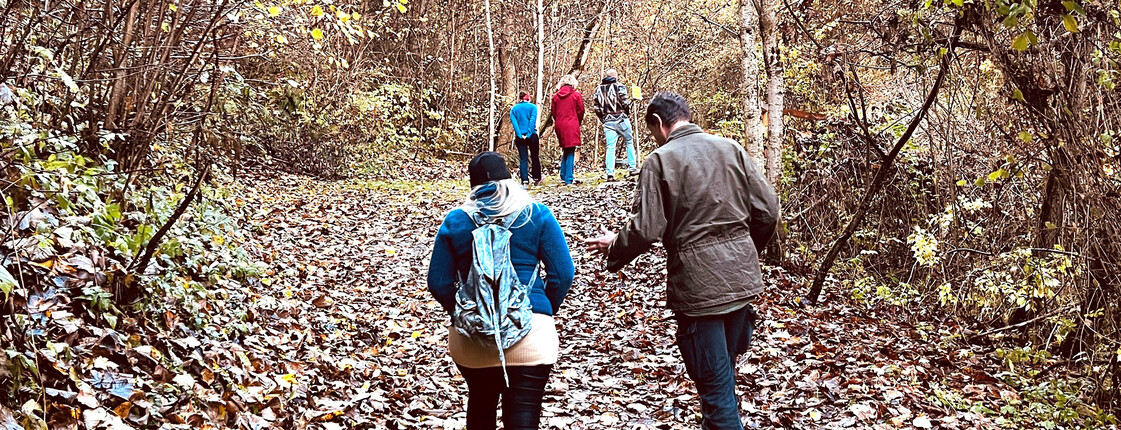 Gruppe von Menschen geht gemeinsam auf einem herbstlichen Waldweg im Rahmen der PlauderWege.