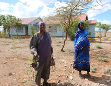 Zwei afrikanische Frauen stehen bei frisch gepflanzten Bäumen auf trockenem afrikanischem Boden.