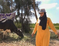 Eine Frau auf einer Weide mit einer Kuh