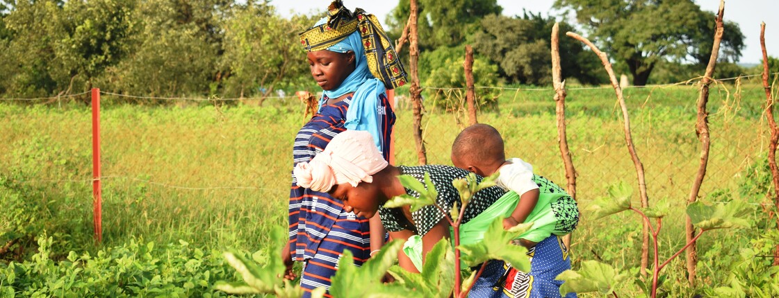 Eine Frau in buntem Gewand und Kopftuch arbeitet mit einem Kind auf dem Rücken gebunden zwischen üppig grünen Pflanzen auf einem Feld in Mali; ein weiteres Kind steht daneben.