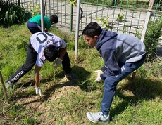 Zwei Jungen ziehen im Gras eines Gartens Unkraut, während weitere Kinder und Erwachsene im Hintergrund ebenfalls im Freien arbeiten.