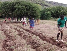 Südsudanesische Menschen arbeiten mit Hacken im Feld. 