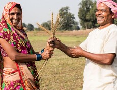 Zwei fröhliche Landwirt*innen auf einem Feld tauschen Getreideähren – Symbolbild für klimafreundliche Landwirtschaft im Projekt SAFBIN in Südasien