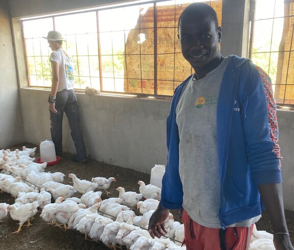 Zwei Personen arbeiten in einem Stall mit zahlreichen weißen Hühnern.