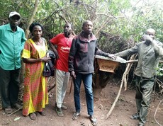 vMehrere Personen stehen neben einem Bienenstock in einer bewaldeten Umgebung und betrachten ihn gemeinsam.