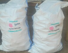 Biokohlebriketts werden als klimafreundliche Energiequelle von der Caritas an Haushalte verteilt  Zwei große weiße Säcke mit Biokohlebriketts stehen nebeneinander auf dem Boden.