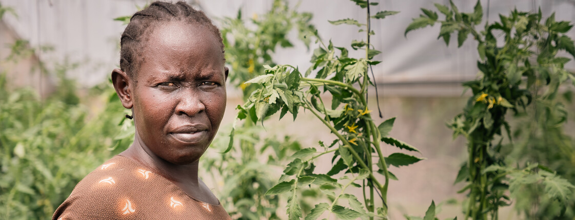 eine Südsudanesin steht zwischen Tomatenpflanzen in einem Gewächshaus