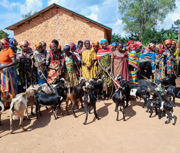 Eine Gruppe burundischer Frauen steht nebeneinander, einige Frauen halten eine Ziege in der Hand, welche vor ihr steht. 