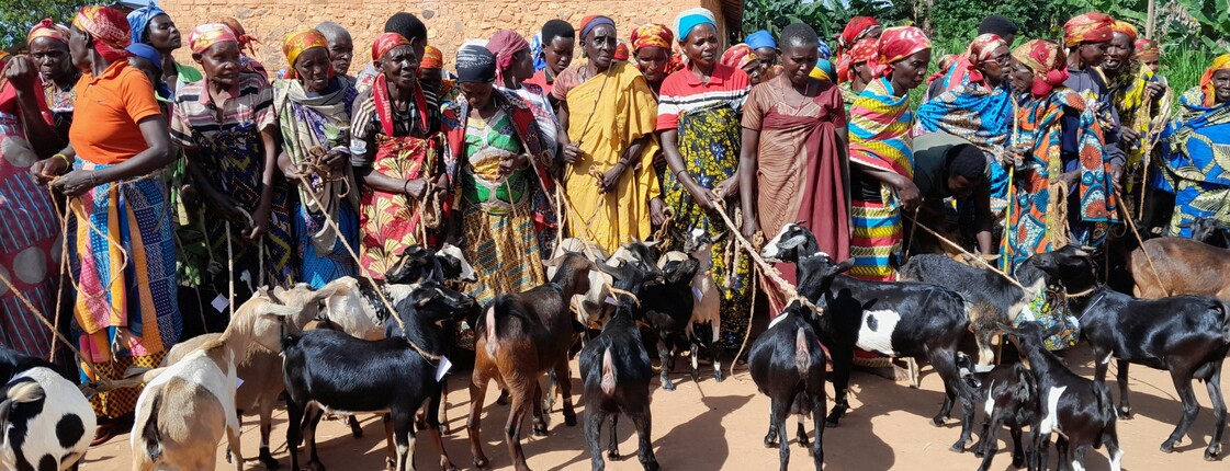 Eine Gruppe burundischer Frauen steht nebeneinander, einige Frauen halten eine Ziege in der Hand, welche vor ihr steht. 