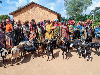 Eine Gruppe burundischer Frauen steht nebeneinander, einige Frauen halten eine Ziege in der Hand, welche vor ihr steht. 