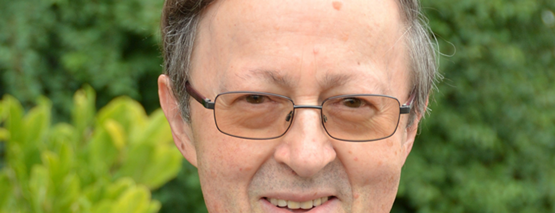 Ein Mann ist im Vordergrund, im Hintergrund ist viel Wald