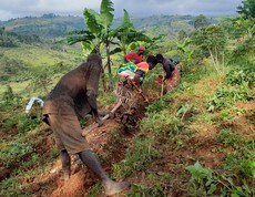 Drei Erwachsene und ein Kind arbeiten gemeinsam mit Hacken auf einem steilen, begrünten Hang in Burundi; im Hintergrund eine weite hügelige Landschaft mit Bananenstauden und terrassierten Feldern.