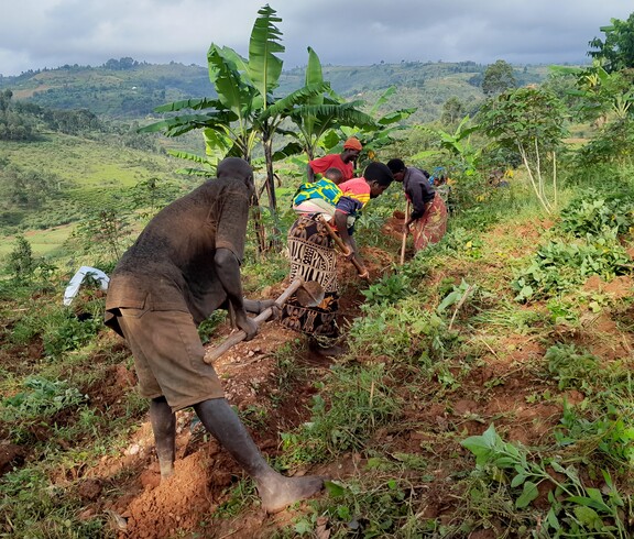Drei Erwachsene und ein Kind arbeiten gemeinsam mit Hacken auf einem steilen, begrünten Hang in Burundi; im Hintergrund eine weite hügelige Landschaft mit Bananenstauden und terrassierten Feldern.