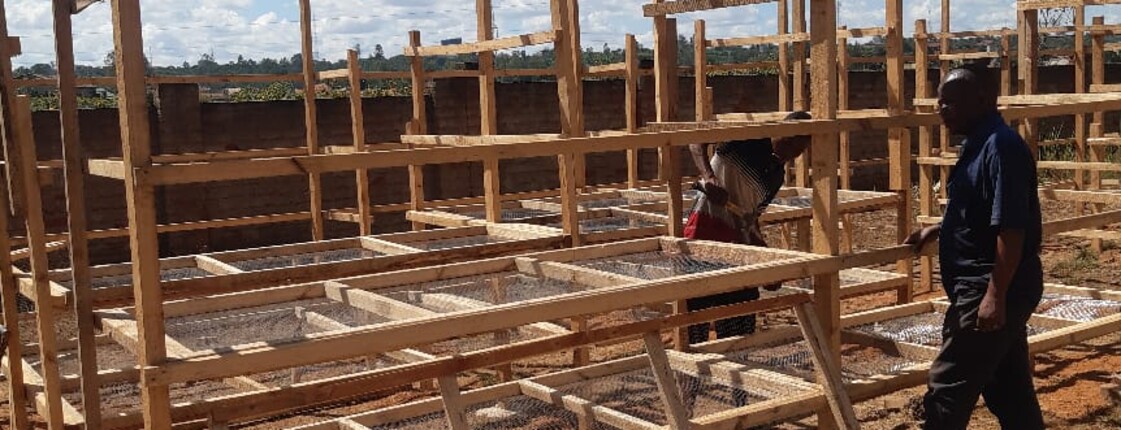 Baufortschritt beim Solartrockner  Mehrere Personen arbeiten an einer großen Holzkonstruktion mit Trockengestellen im Freien.