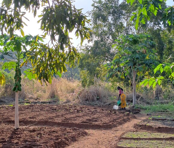 im Vordergrund sind landwirtschaftliche Parzellen, teils bebaut, teils leer. Im Hintergrund gießt eine junge südsudanesische Frau.