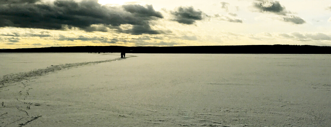 Sonnenuntergang in Winterlandschaft mit Weg im Vordergrund