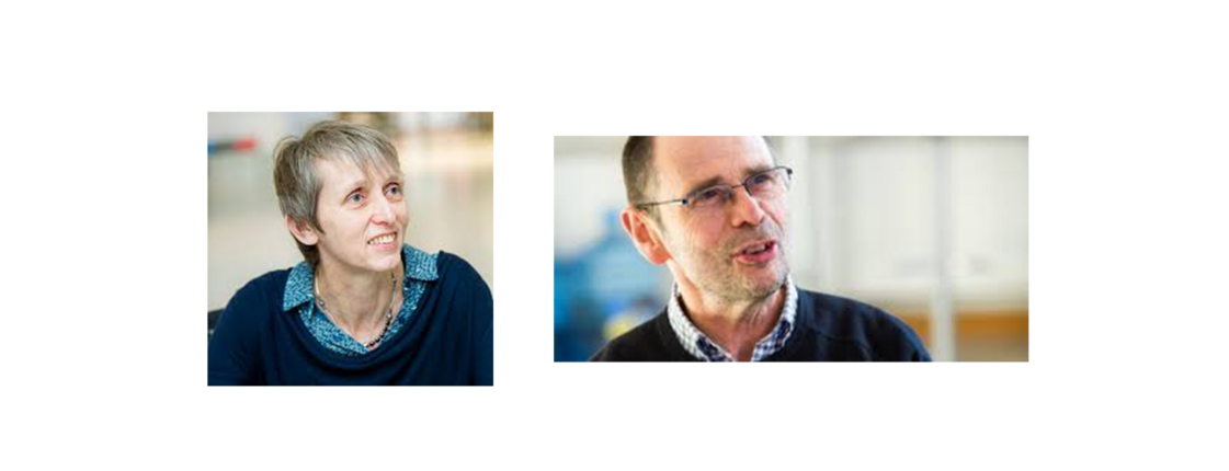 Julie Froud und Karel Williams