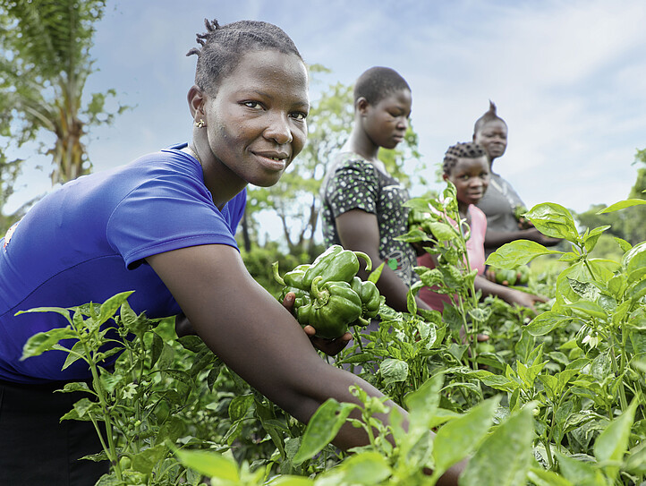 Frauen auf einem Gemüsefeld im Südsudan
