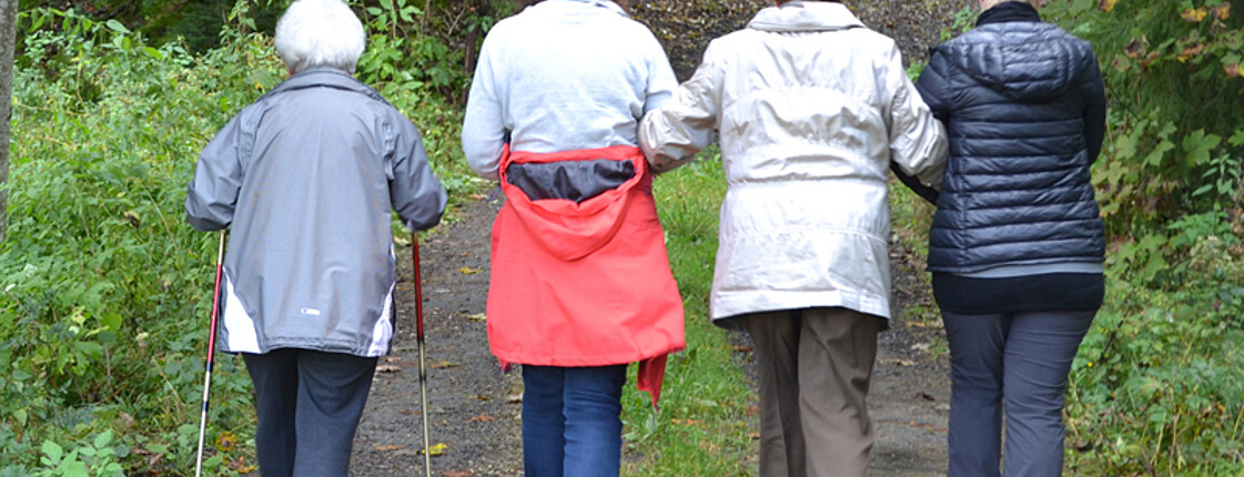 Vier Seniorinnen sind im Wald am Wandern. Ausschließlich deren Rücken sind zu sehen. 