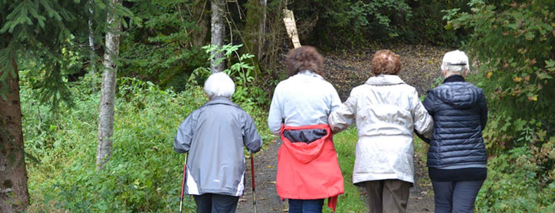 Vier Sennioren laufen einen Waldweg entlang