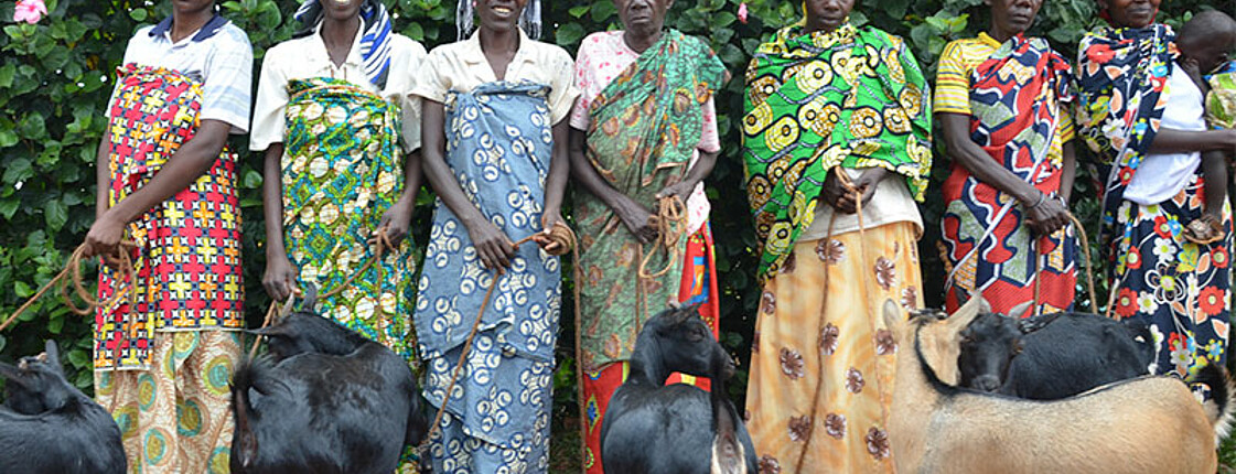 Afrikanische Frauen mit Ziegen, die sie als Nutztiere halten.