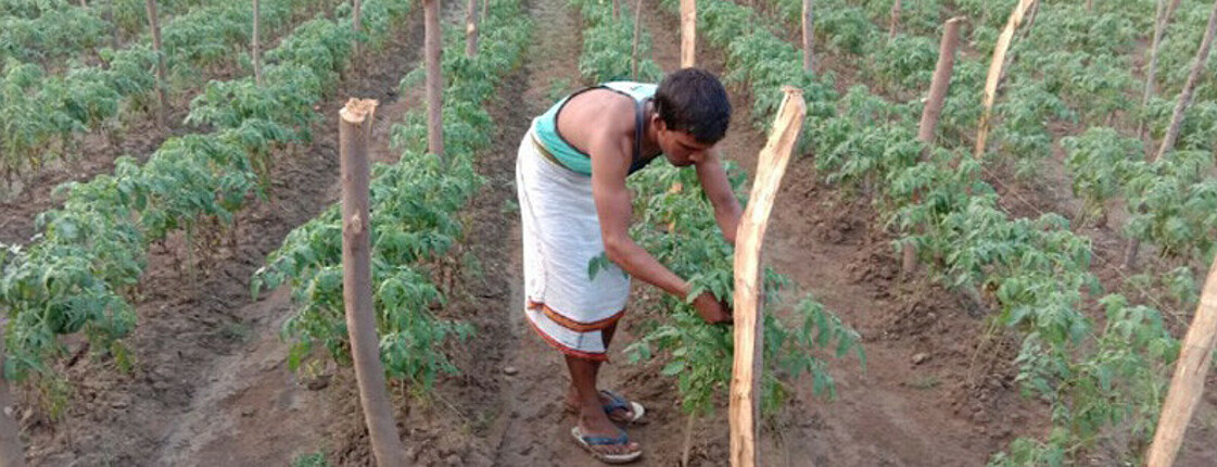 Das bild zeigt Raju Patel, Kleinbauer in Hanumantora, Indien.