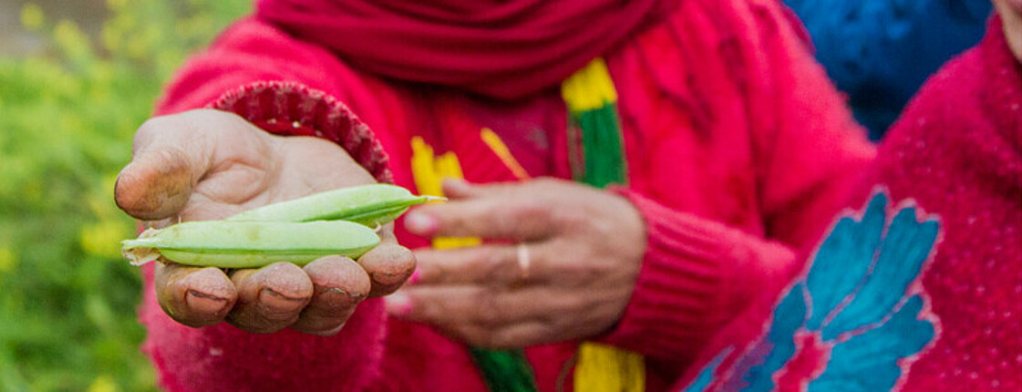 Das Bild zeigt eine Kleinbäuerin mit Saatgut in der Hand