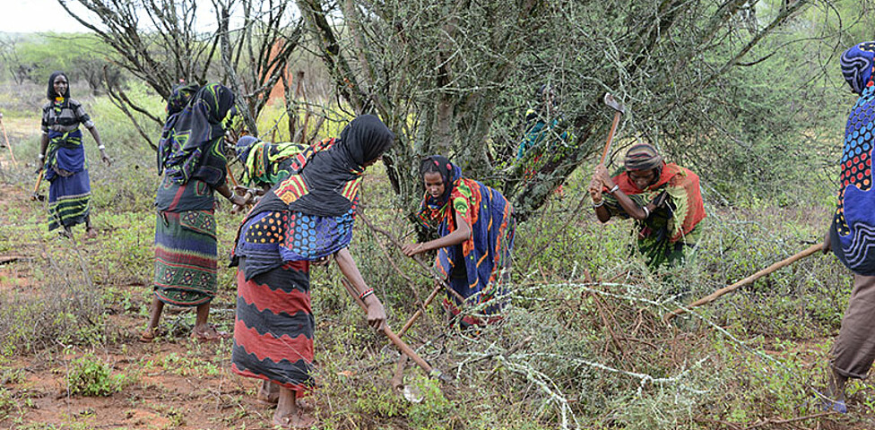 Afrikanische Frauen jäten auf einem Feld.